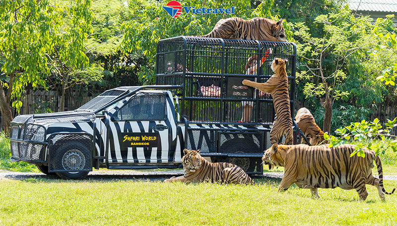 Vườn Thú Safari – Tự Do Mua Sắm